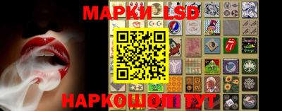 mdpv Краснознаменск