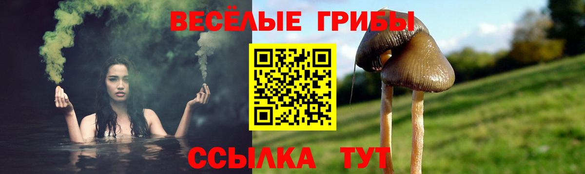 Псилоцибиновые грибы мицелий  Вход с VPN  купить наркотик  Усолье-Сибирское 